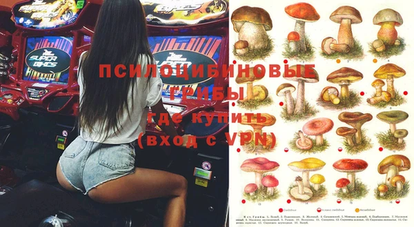 эйфоретик Дмитровск