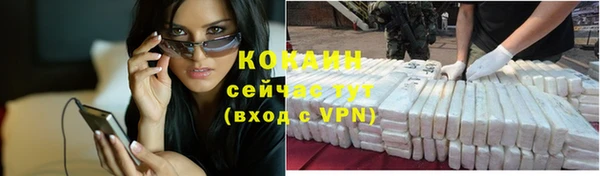 первитин Дмитриев