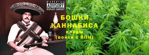 прущая мука Ельня