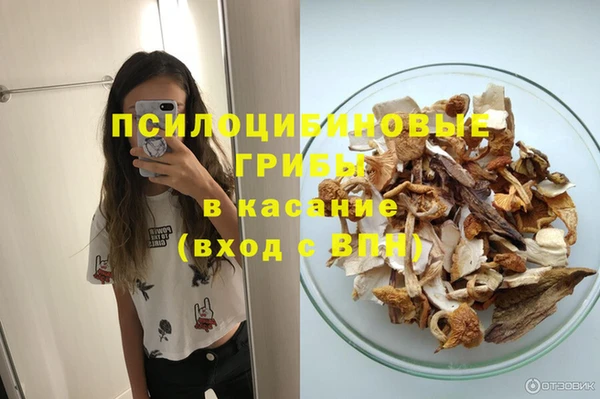 эйфоретик Дмитровск