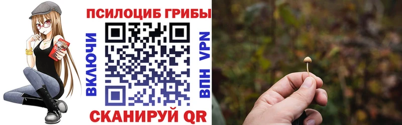 Галлюциногенные грибы Cubensis  Купить  Шелехов 