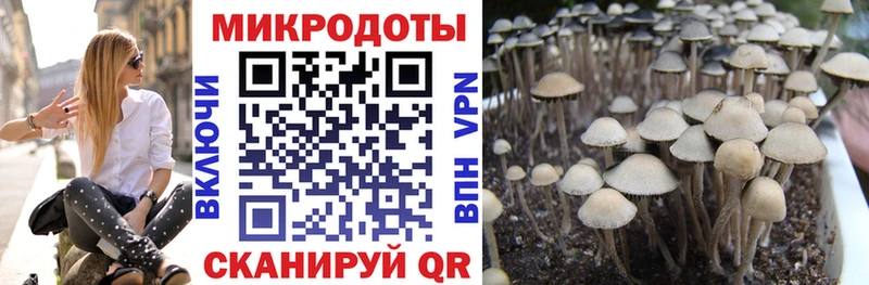 Галлюциногенные грибы GOLDEN TEACHER Шелехов