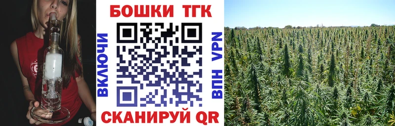Купить  Шелехов  Бошки Шишки план 